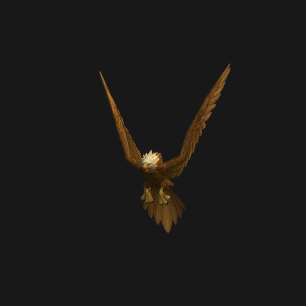 Golden Eaglet