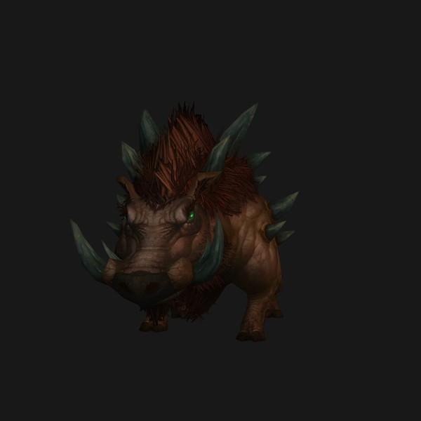 Highland Boar