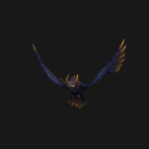 Fledgling Warden Owl