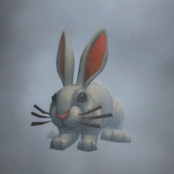 Dust Bunny