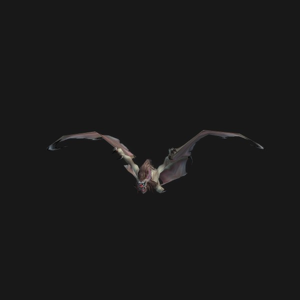 Echo Batling