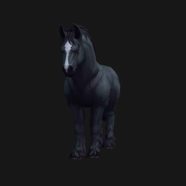 Freehold Colt