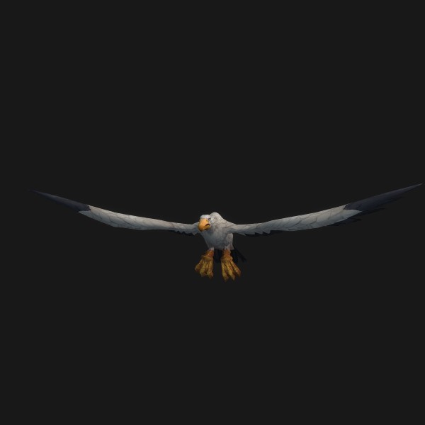 Great Sea Albatross