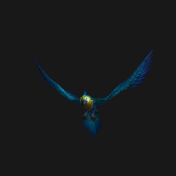 Greatwing Macaw