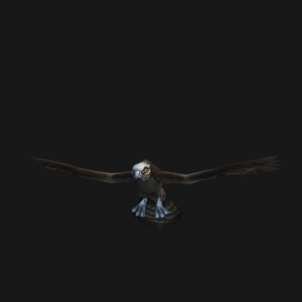 Gull