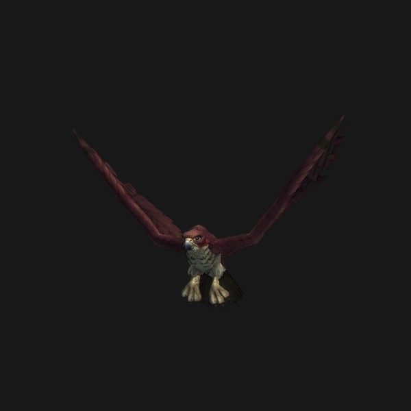 Hollowbeak Falcon