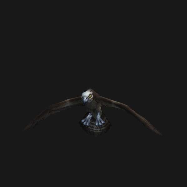 Eagle