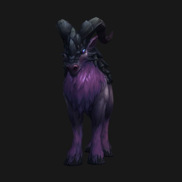 Elusive Chitinbuk