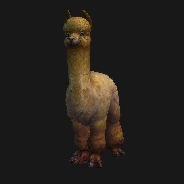 Friendly Alpaca