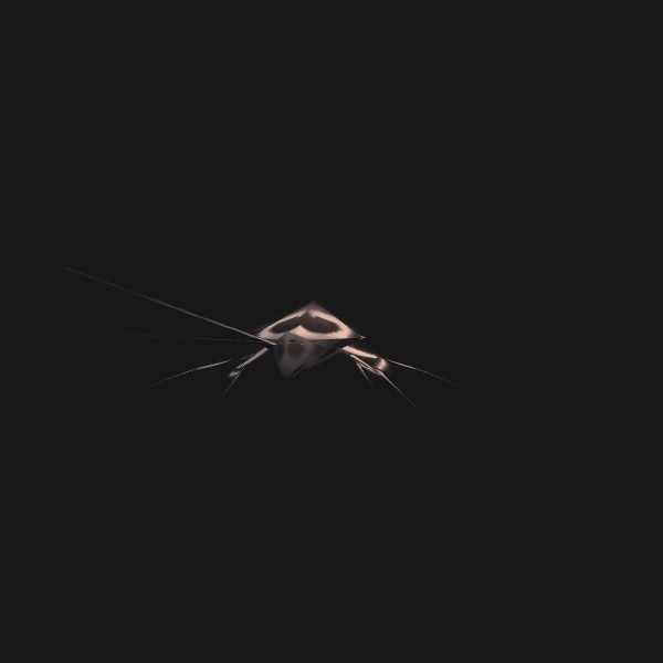 Experimental Roach