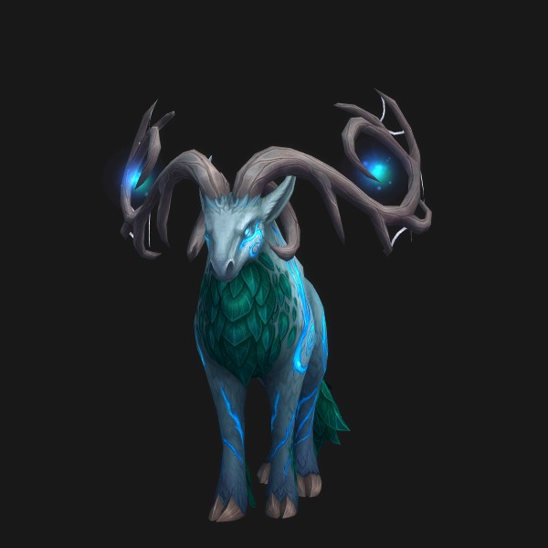 Highland Bull