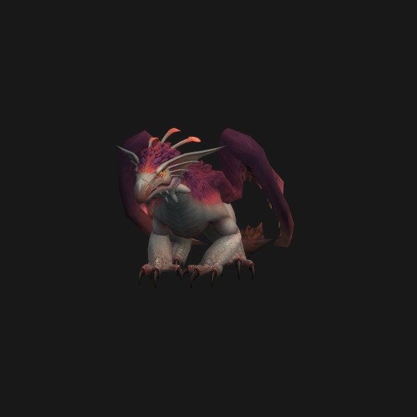 Feathered Drake
