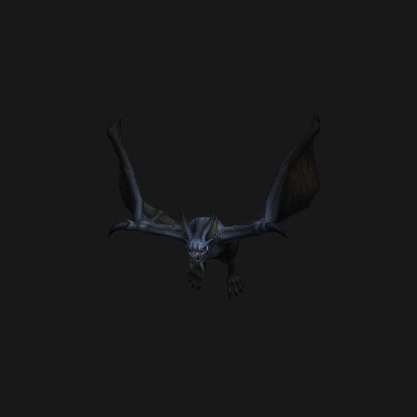 Dusky Dredwing Pup